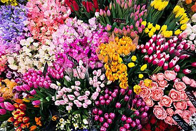 《双影奇境》Steam首发“好评如潮” 在线峰值超3万人