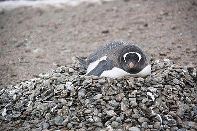 那些年我们一起Rush的B！CS1.6怀旧重现，KK对战平台老兵召集